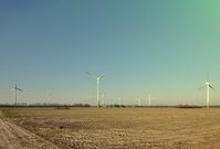 Agrarwüste in Deutschland: Alles dank "Agro-Landwirtschaft", was von Aggressiver Landwirtschaft kommt (Symbolbild)