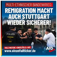 Bild: AfD Deutschland