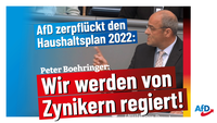 Bild: AfD Deutschland