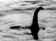 „Loch-Ness-Monster“ ?