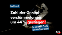 Bild: AfD Deutschland