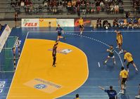 Handball (Symbolbild)