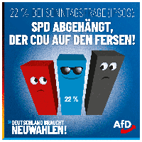 Bild: AfD Deutschland