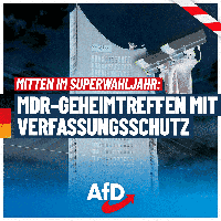 Bild: AfD Deutschland