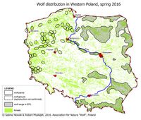 Bild: IFAW-Deutschland