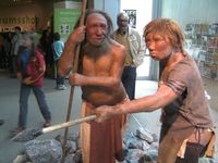Neandertaler: Rekonstruktion im Neanderthal Museum