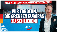 Bild: AfD Deutschland
