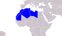 Die Staaten des Maghreb (im weiteren Sinne)