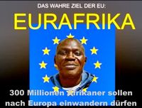 Eurafika: Viele Europäer sehen starke Indizien, daß Europa mit Afrikanern bevölkert werden soll (Symbolbild)