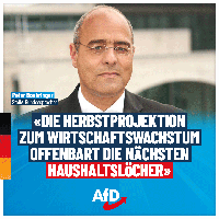Bild: AfD Deutschland