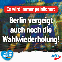 Bild: AfD Deutschland