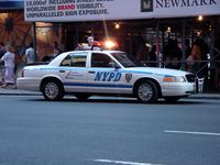 Ford Crown Victoria, das NYPD-Standardfahrzeug