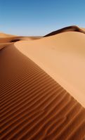 Eine Sandwüste ist fast völlig Klimaneutral da in ihr fast nichts lebt (Symbolbild)