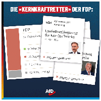 Bild: AfD Deutschland