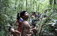 Brasilien verbleiben drei Monate, um illegale Holzfäller vom Gebiet der Awá auszuweisen. Bild: D Pugliese/ Survival