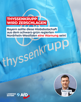 Bild: AfD Deutschland