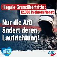 Bild: AfD Deutschland