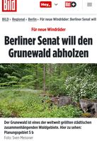 Der Grunewald soll für Windräder abgeholzt werden - Natuschutz kontra Klimaschutz (Symbolbild)