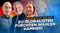 Bild: AUF1 / Eigenes Werk