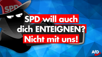 Bild: AfD Deutschland