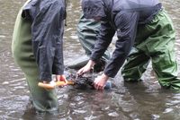 Wissenschaftler bei der Probenahme der Sedimentproben
Quelle: Foto: Prof. Dr. Peter Poschlod – Zur ausschließlichen Verwendung im Rahmen der Berichterstattung zu dieser Pressemitteilung. (idw)