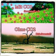 Mehr CO2 bedeutet mehr Leben auf dem Planeten, kein CO2 ist tötlich für alle (Symbolbild)