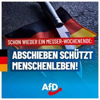 Bild: AfD Deutschland