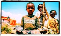 Weil deutsche Klimafanatiker Elektroautos wollen, schuften Kinder im Kongo unter menschenunwürdigen Bedingungen.