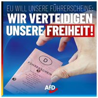 Bild: AfD Deutschland