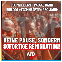 Bild: AfD Deutschland