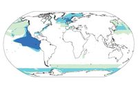 Auf der Weltkarte der Walbeobachtungen existieren große weiße Flecken, insbesondere in internationalen Gewässern. Nur die dunkelblau gefärbten Bereiche wurden in den vergangenen Jahrzehnten mehrfach untersucht.
Quelle: Grafik: Kaschner (idw)