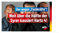 Bild: AfD Deutschland