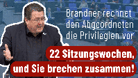 Bild: AfD Deutschland