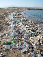 Grober Plastikmüll am Ufer