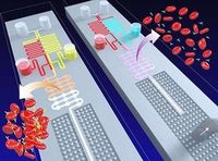 "Lab-on-a-Chip": Forscher kommen dem Konzept näher. Bild: Lab On a Chip