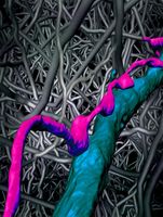 Das dichte neuronale Netzwerk der medialen entorhinalen Hirnrinde (neuronale Verästelung in grau) und das überraschend präzise Muster von Synapsen, die in diesem Gehirnteil (in Farbe) gefunden wurde. Bild: Max-Planck-Institut für Hirnforschung (idw)