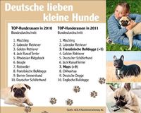 AGILA zeigt die beliebtesten Hunderassen 2011. Bild: AGILA Haustierversicherung AG (openPR)