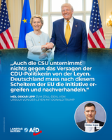 Bild: AfD Deutschland