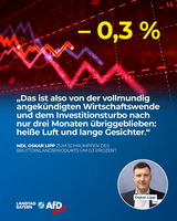 Bild: AfD Deutschland