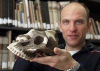 Das Modell des Schädels von Paranthropus aethiopicus zeigt Prof. Dr. Uwe Hoßfeld von der Universität Jena. Quelle: Foto: Jan-Peter Kasper/FSU (idw)