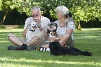 Die individuelle Namensgebung ist auch Ausdruck für die tiefe emotionale Bindung, die Tierhalter häufig zu ihren Hunden aufbauen. Bild: "obs/Bundesverband für Tiergesundheit e.V./© Andrea Klostermann"