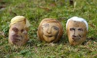 Portrait von Guido Westerwelle, Angela Merkel und Horst Seehofer auf Kartoffeln. Bild: Greenpeace