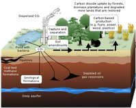 CO2-Abscheidung und -Speicherung