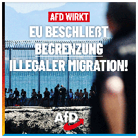 Bild: AfD Deutschland