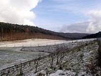 Die sanierte Halde des Uranbergwerkes Poehla im Erzgebirge. Bild: Geomartin / de.wikipedia.org