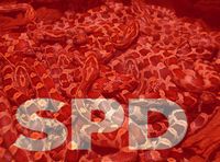 Schlangengrube SPD (Symbolbild)
