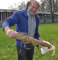 Prof. Dr. Hermann Behling zeigt ein Wellerholz aus der Sammlung Willerding.
Quelle: Foto: Universität Göttingen (idw)