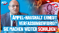 Bild: AfD Deutschland