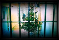 Zu Weihnachten alle Menschen in Wohn-Haft? (Symbolbild)
