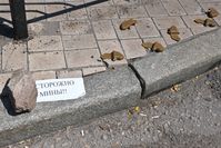 PFM-1-Minen und ein improvisierter Warnschild auf einer Donezker Straße (Symbolbild) Bild: Sputnik